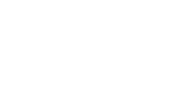 Logo Castor